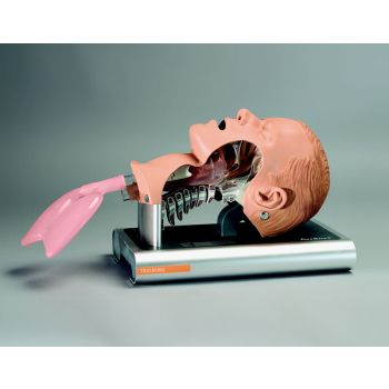 Ambu-AMBU® Intubation Trainer w/ Carry Case, Access Tray & Lube-MedTech-1