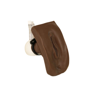 Wallcur-"Cathi" Female Catheterization Trainer-MedTech-2