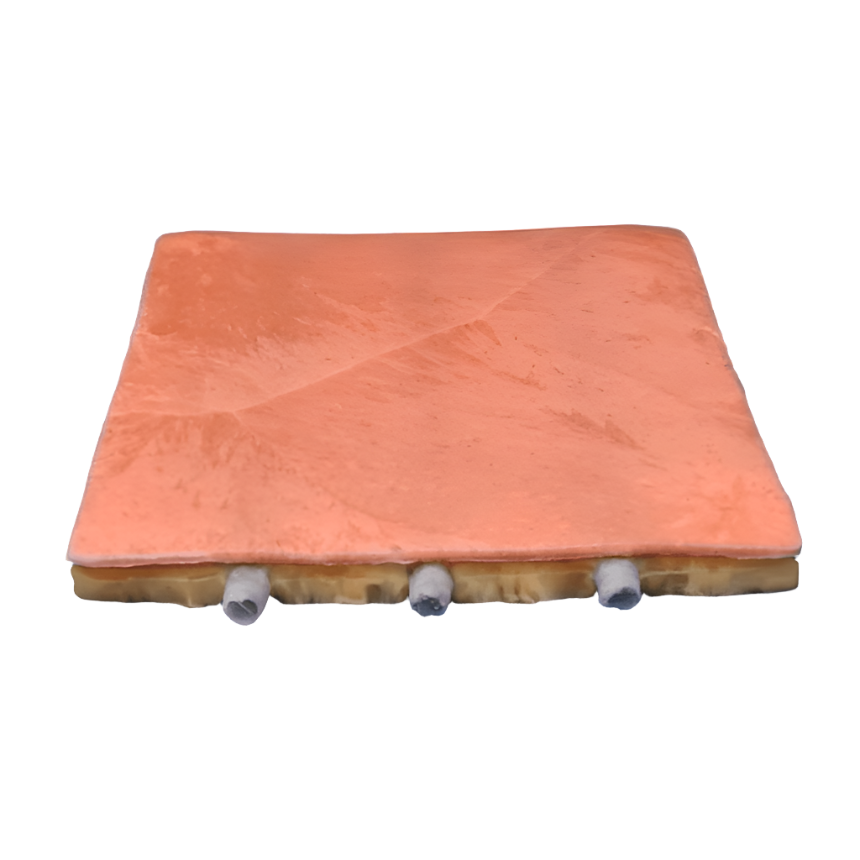 Nasco Healthcare-Deep and Peripheral Embedded Veins Model with Syringe-MedTech-1