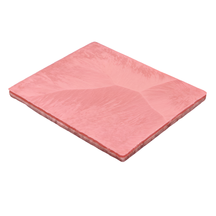 Nasco Healthcare-Double Layer Skin - Thin Dermis-MedTech-1