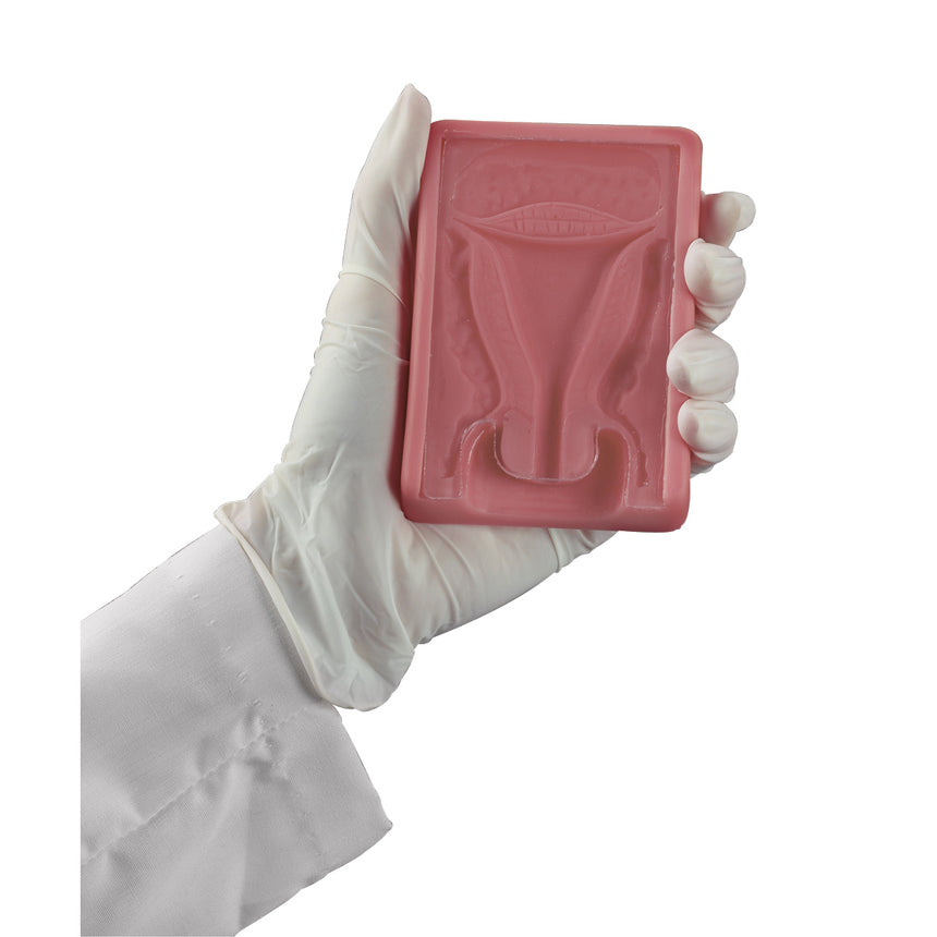 Nasco Healthcare-IUD Trainer-MedTech-1