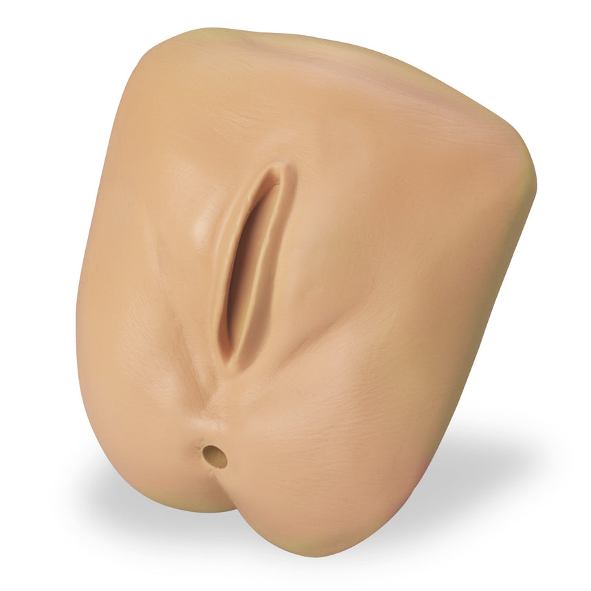 Nasco Healthcare-Life/form® GERi / KERi Replacement Genitalia Basic , Female-MedTech-1