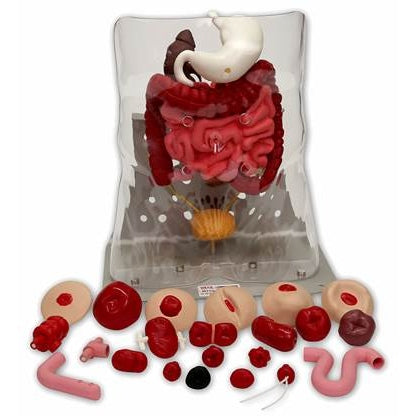 Nasco Healthcare-Otto Ostomy™ Package-MedTech-1