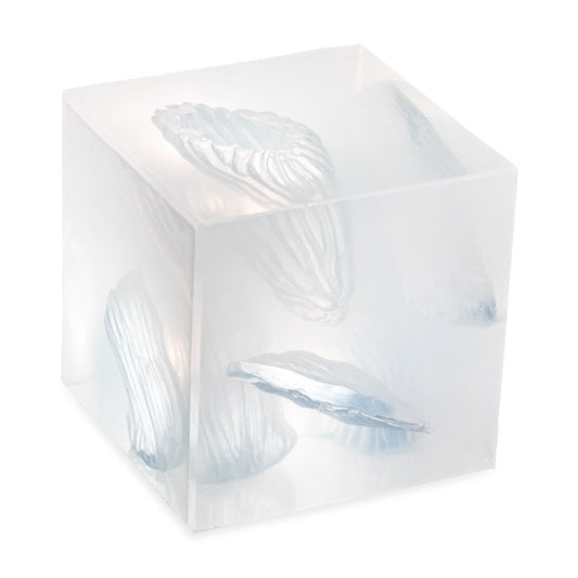 Phokus Research Group-Phokus Wound Cube™ Gen2 Simulator-MedTech-1