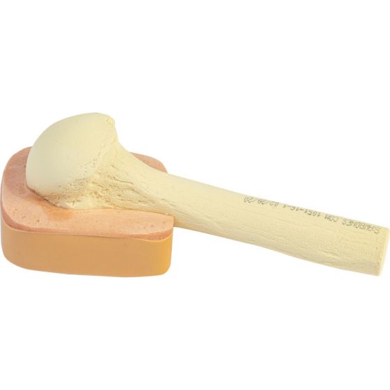 Sam Medical-SAM IO Sawbone-MedTech-2