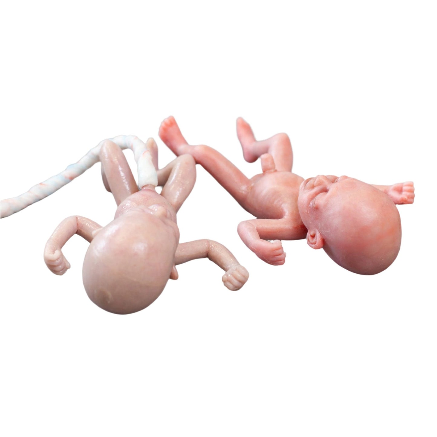 Safeguard Medical-SimBODIES Advanced 28-Week Pre-Term Manikin-MedTech-3