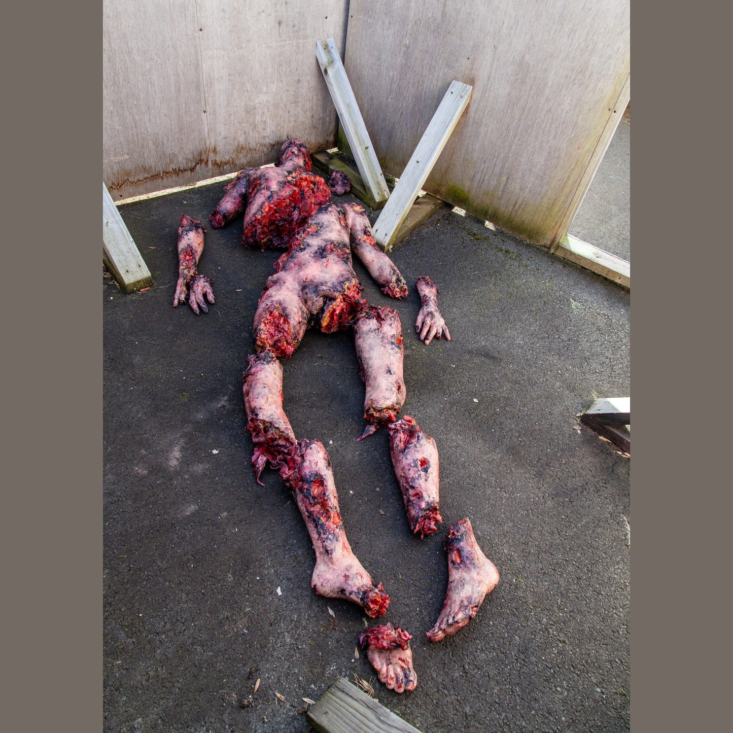 Safeguard Medical-SimBODIES Lifeless Blasted-MedTech-5