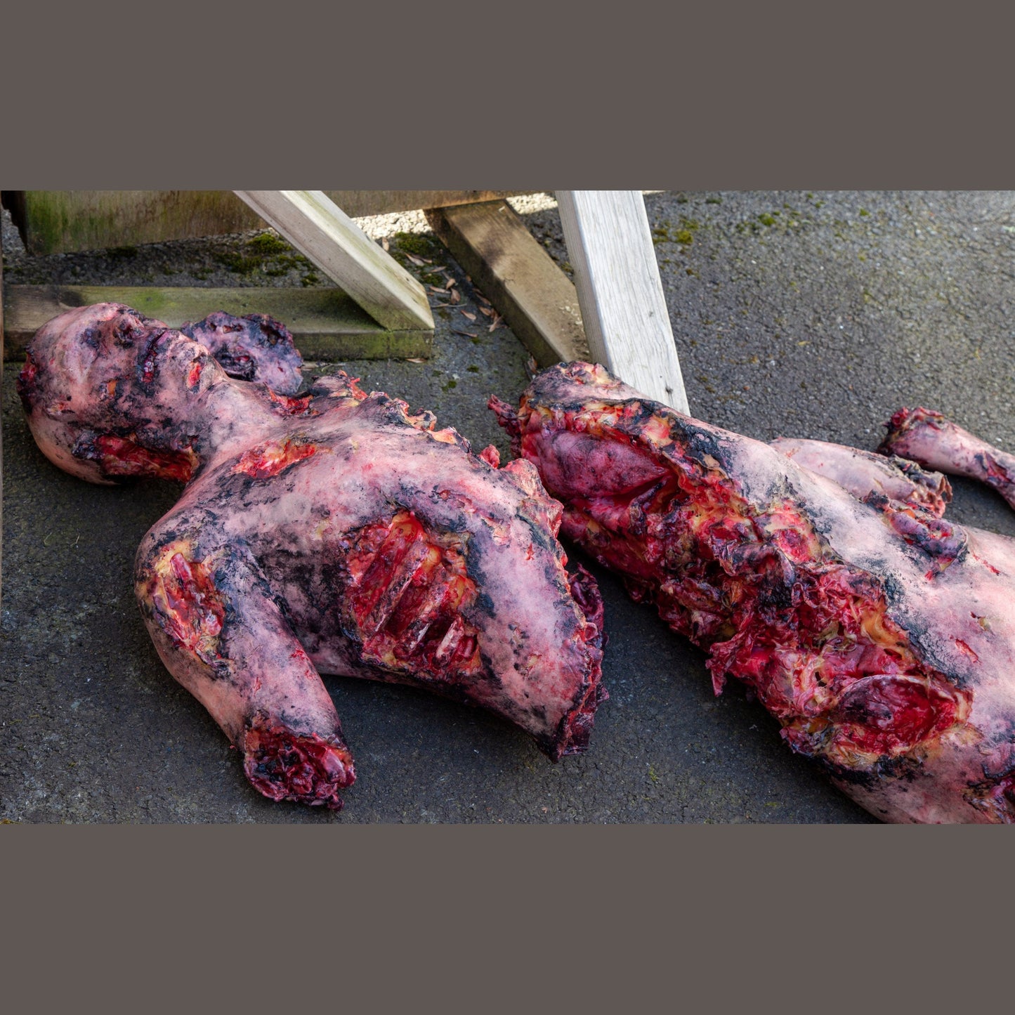 Safeguard Medical-SimBODIES Lifeless Blasted-MedTech-6