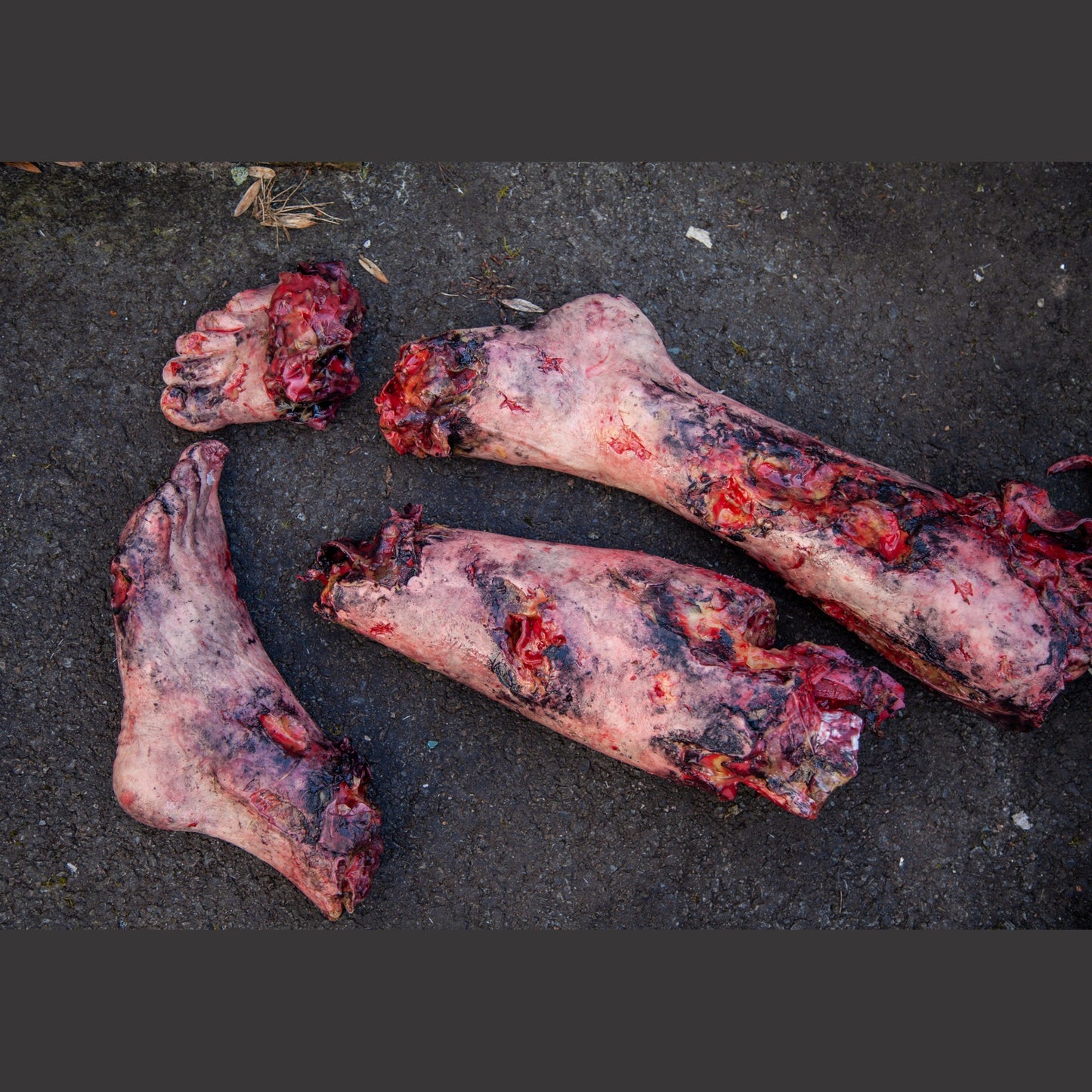 Safeguard Medical-SimBODIES Lifeless Blasted-MedTech-10