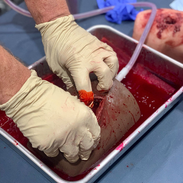 TrueClot®-TrueClot® Wound Packing Task Trainer-MedTech-8