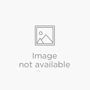 Dick Medical Supply-2' Nylon Stretcher/Cot Strap | Metal Push Button Buckle-MedTech-1