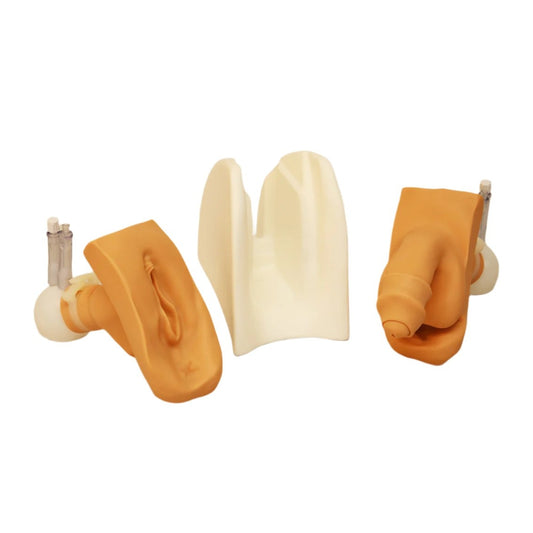 Wallcur-"Willi and Cathi" Combo Package Catheterization Trainer with Stand-MedTech-1