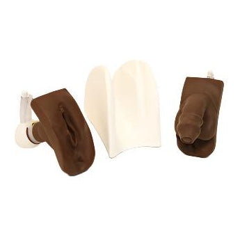 Wallcur-"Willi and Cathi" Combo Package Catheterization Trainer with Stand-MedTech-2