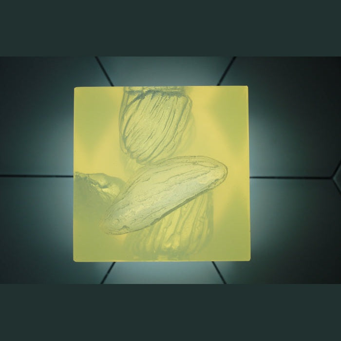 Phokus Research Group-Wound CLUB™ PRO Gen2-MedTech-11