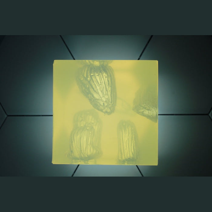 Phokus Research Group-Wound CLUB™ PRO Gen2-MedTech-12