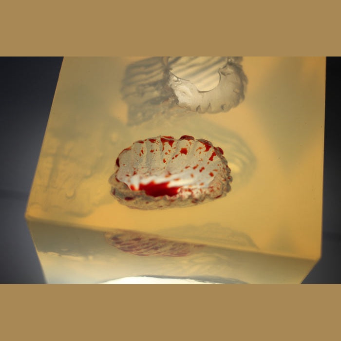 Phokus Research Group-Wound CLUB™ PRO Gen2-MedTech-15