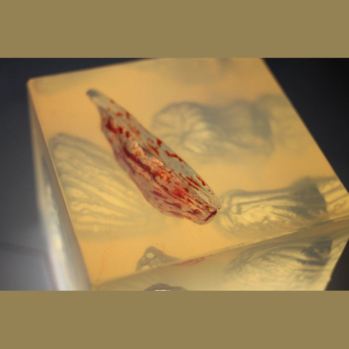 Phokus Research Group-Wound CLUB™ PRO Gen2-MedTech-16