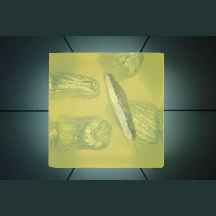 Phokus Research Group-Wound CLUB™ PRO Gen2-MedTech-8