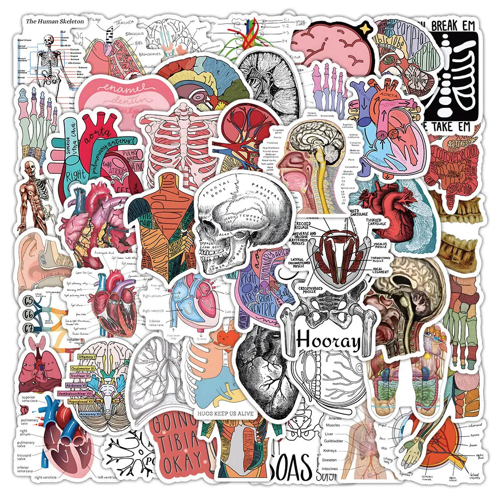 50 Cartoon Anatomy Stickers