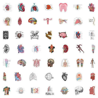 50 Cartoon Anatomy Stickers
