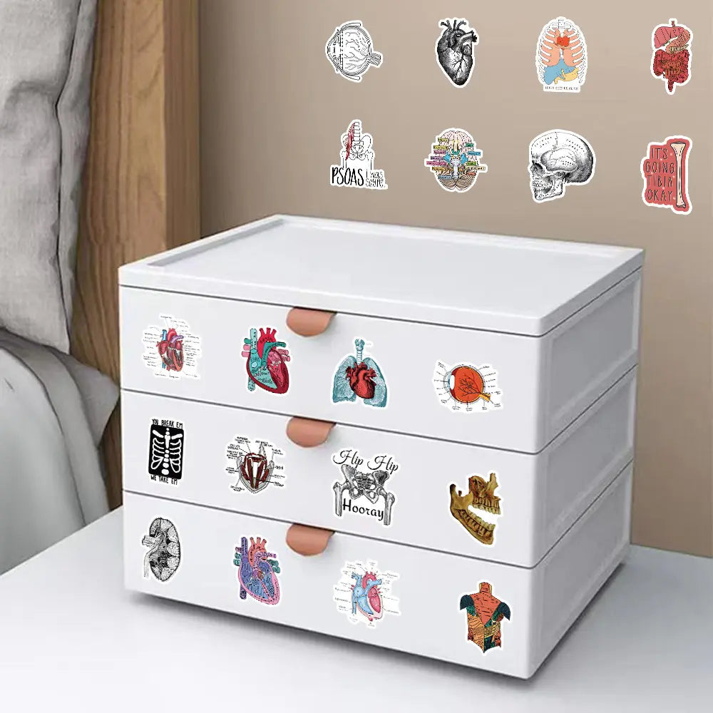 50 Cartoon Anatomy Stickers