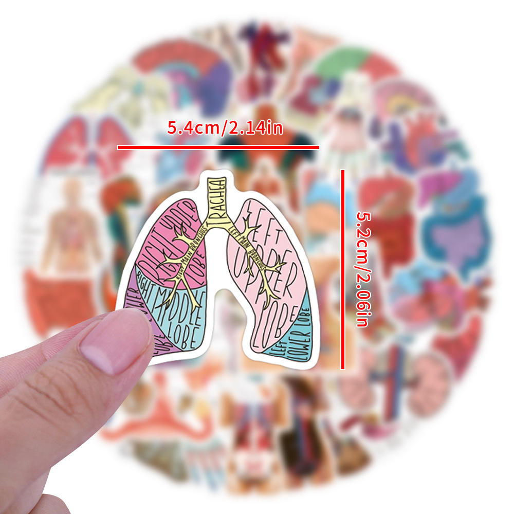 MedTech- 60 Pcs Cartoon Human Organ Stickers 2- - 
