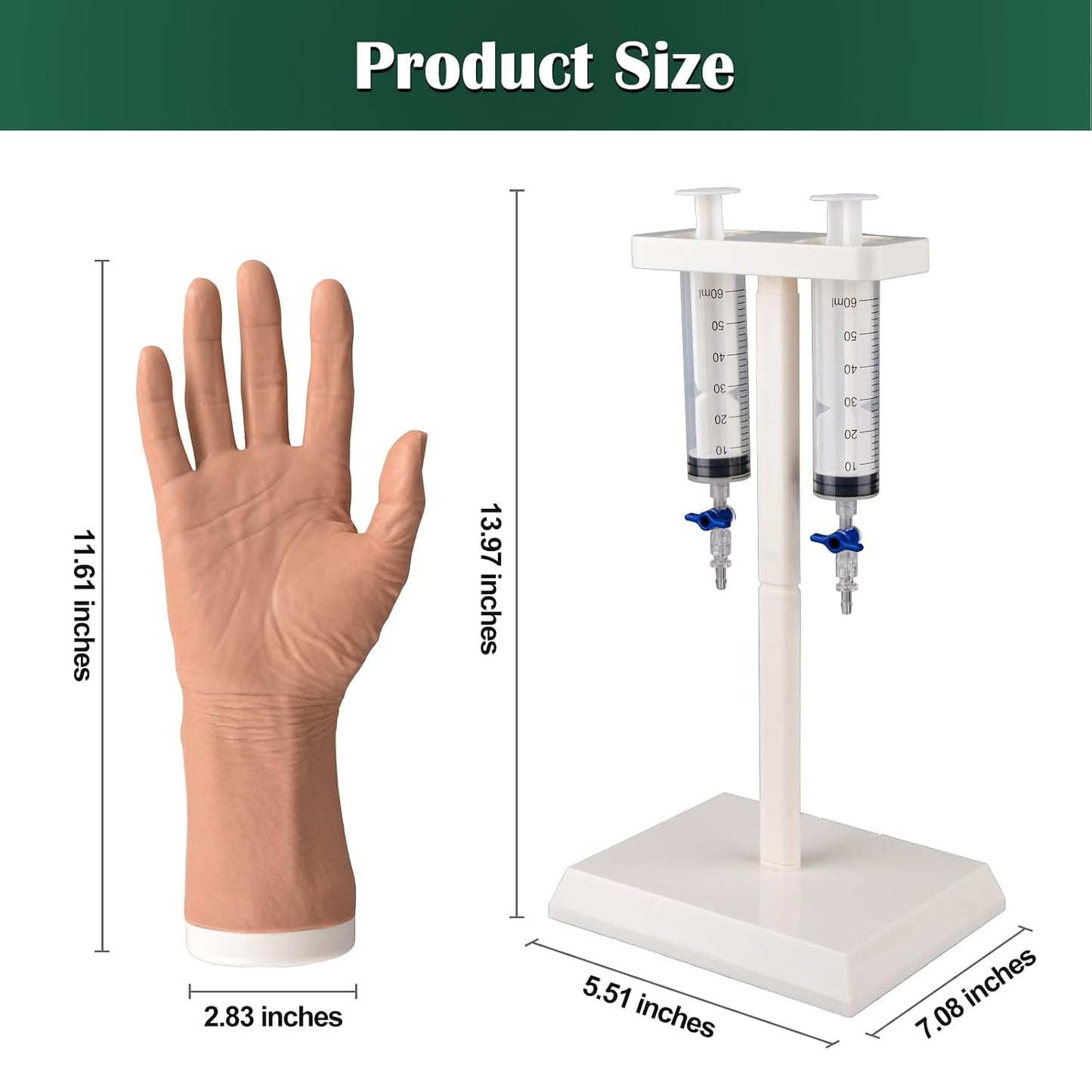 IV Training Hand Geriatric