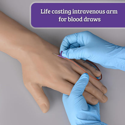 IV Practice Arm with Veins