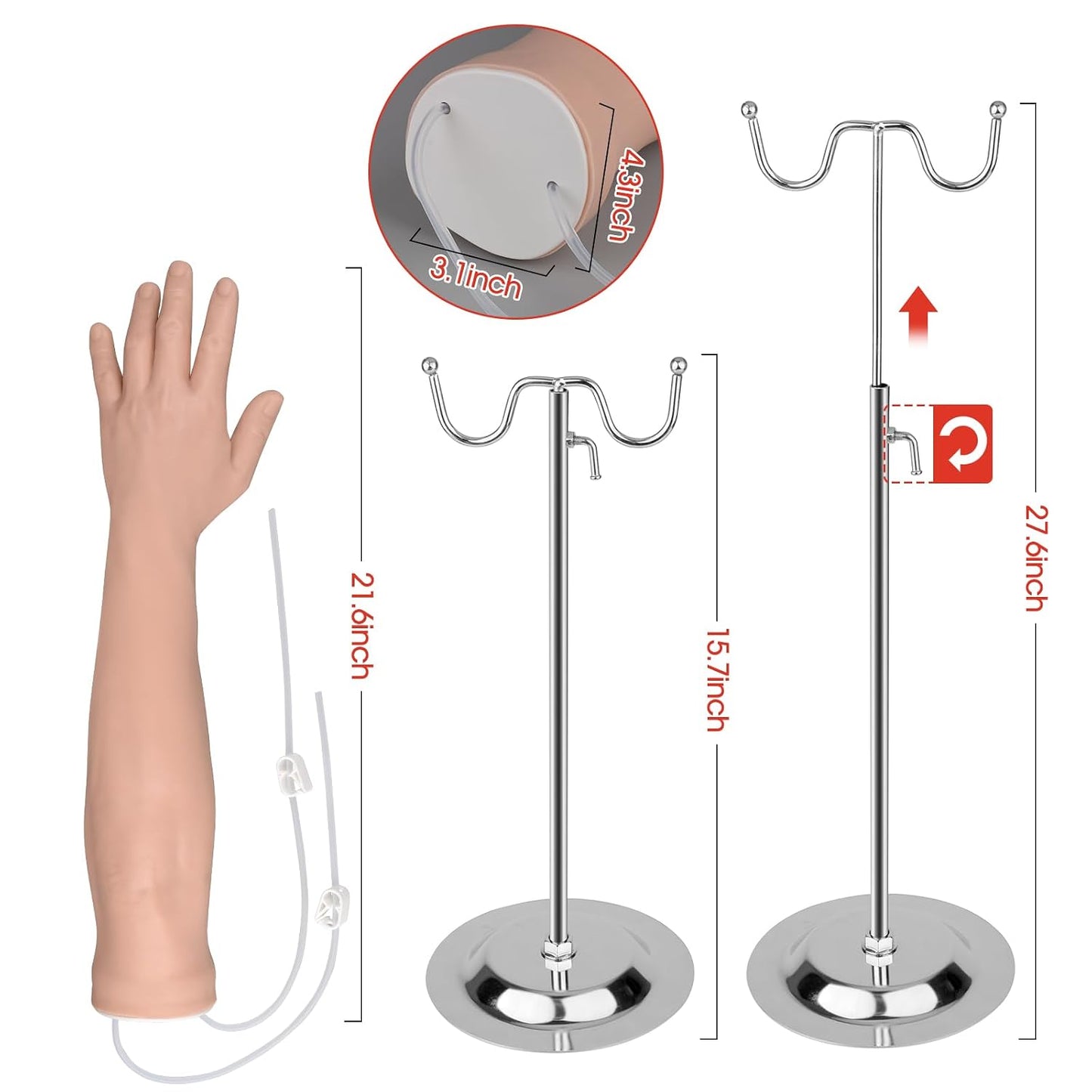 IV Practice Arm with Veins