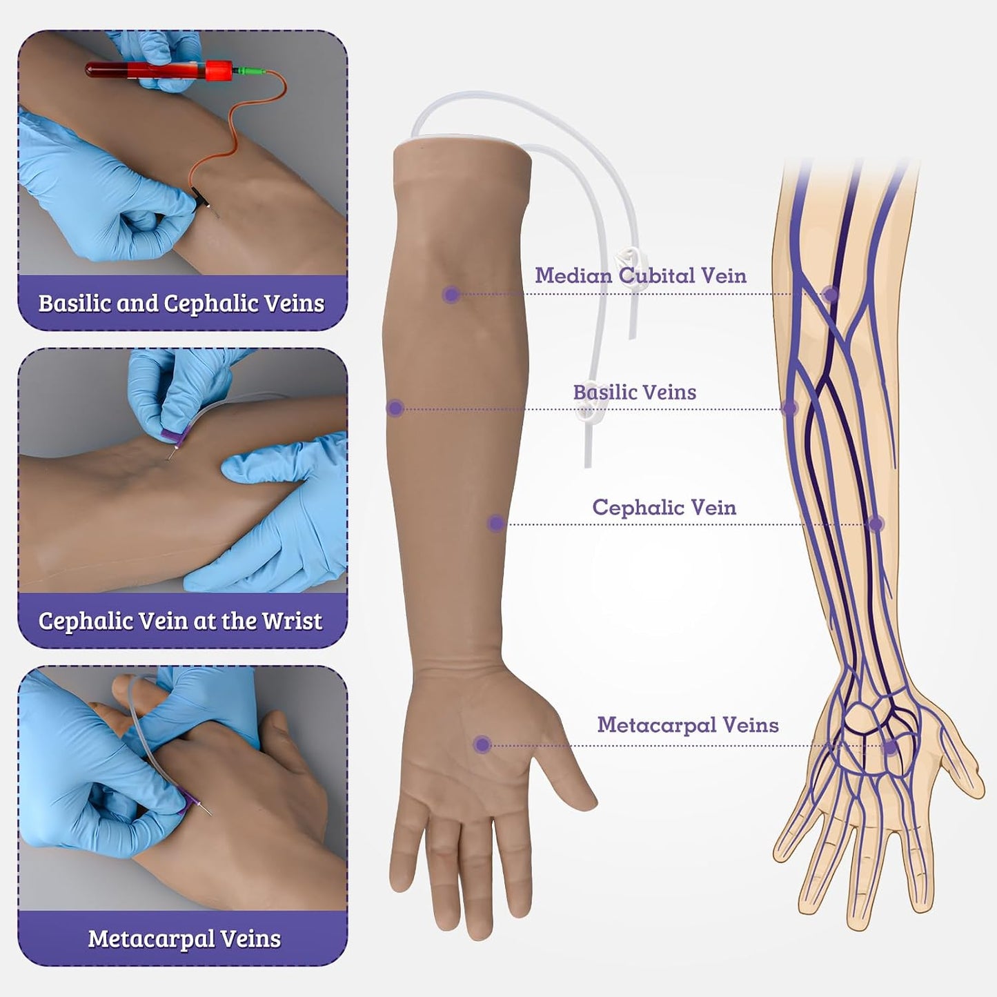 IV Practice Arm with Veins