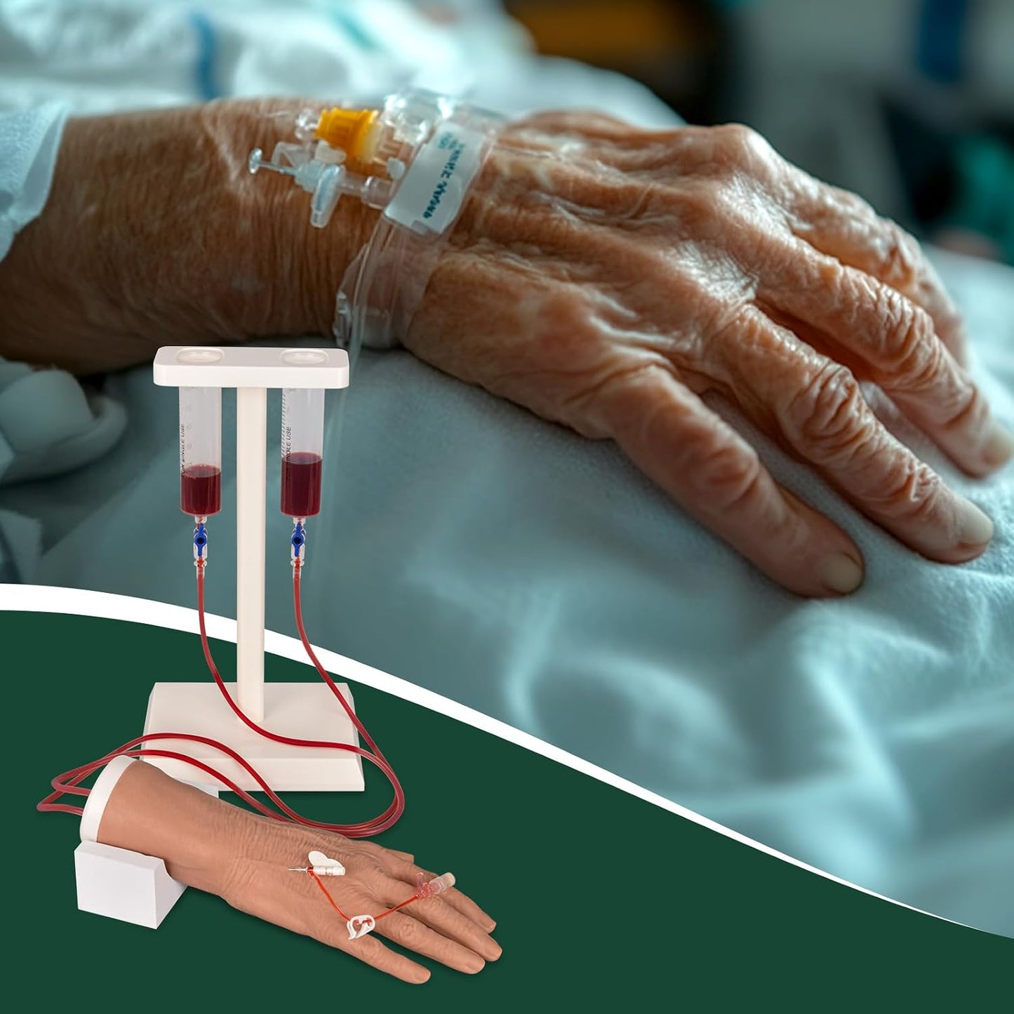 IV Training Hand Geriatric