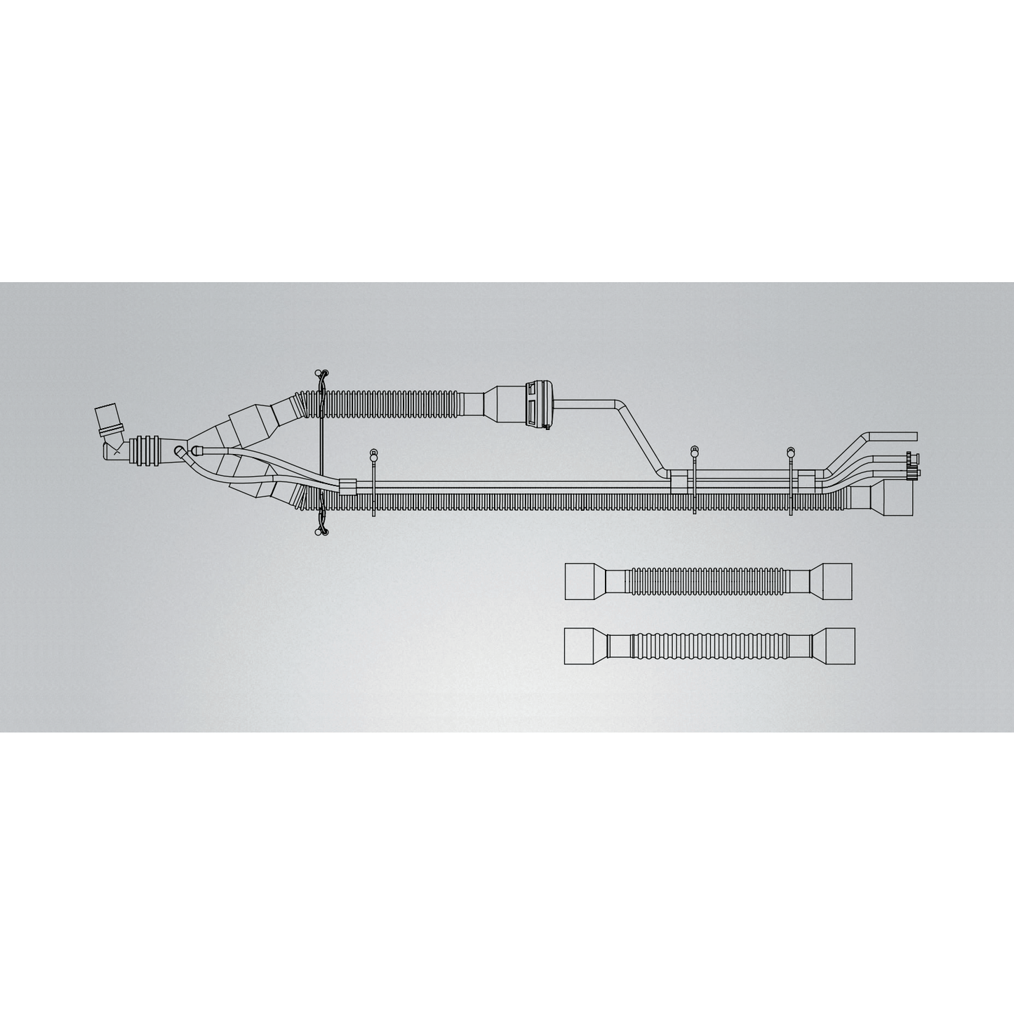 Carefusion / Vyaire-CareFusion ReVel™ Adult Patient Circuit w/Out PEEP, 15mm SPU 10/CS-MedTech-1