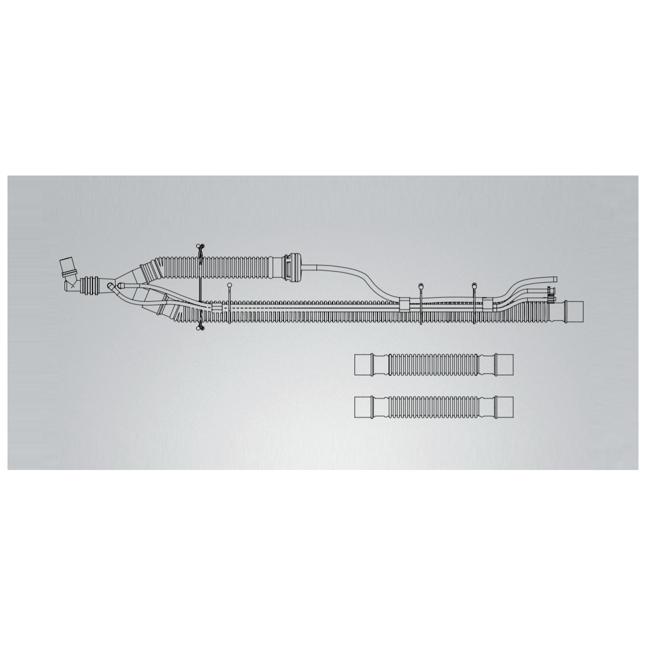 Carefusion / Vyaire-CareFusion ReVel™ Adult Patient Circuit w/Out PEEP, 22mm SPU 10/CS-MedTech-1