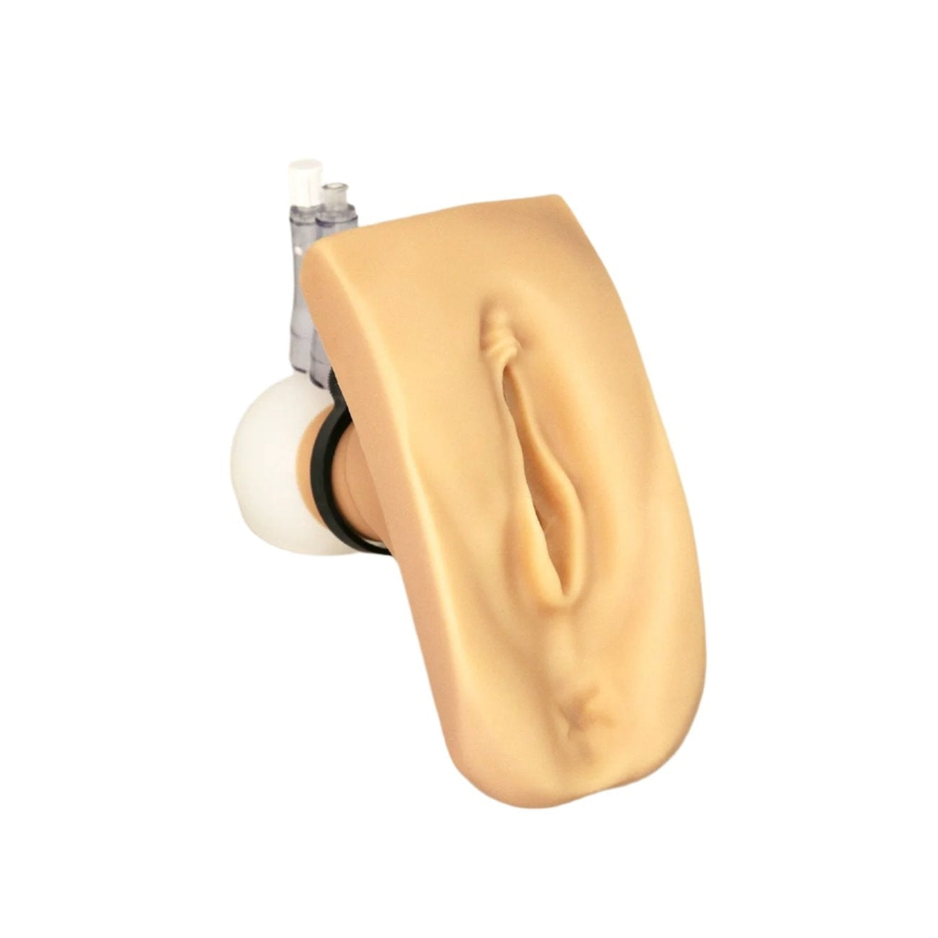 Wallcur-"Cathi" Female Catheterization Trainer-MedTech-1