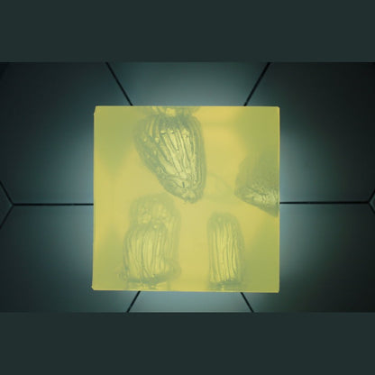 Phokus Research Group-Wound CLUB™ PRO Gen2-MedTech-12